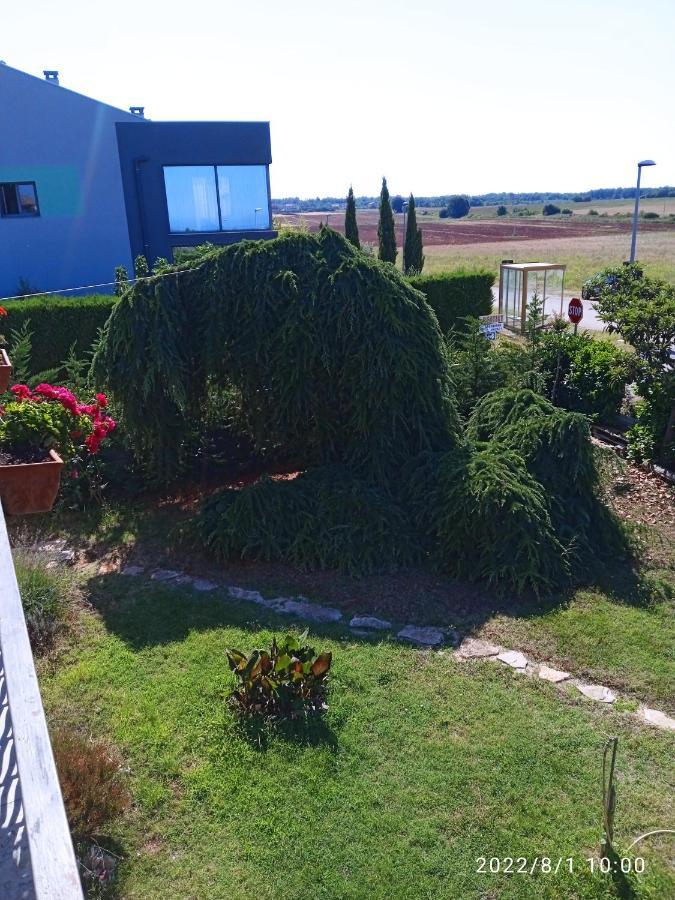 Apartments Ribic Ουμάγκ Εξωτερικό φωτογραφία