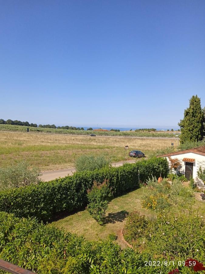 Apartments Ribic Ουμάγκ Εξωτερικό φωτογραφία