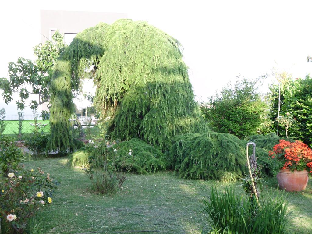 Apartments Ribic Ουμάγκ Δωμάτιο φωτογραφία